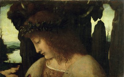 Narcissus at the Fountain by Giovanni Antonio Boltraffio